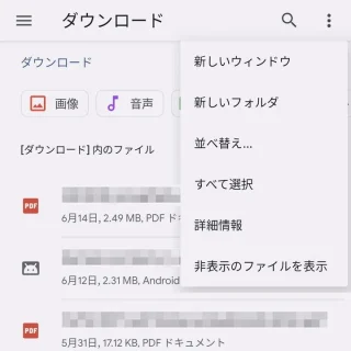 Pixel→設定→ストレージ→内蔵ファイルマネージャー→ダウンロード→メニュー