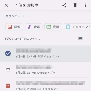 Pixel→設定→ストレージ→内蔵ファイルマネージャー→ダウンロード→選択済み