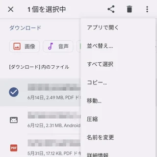 Pixel→設定→ストレージ→内蔵ファイルマネージャー→ダウンロード→選択済み→メニュー