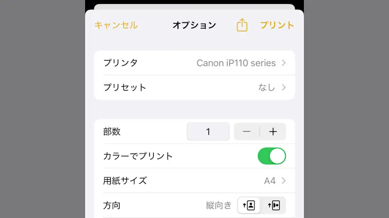 iPhone→共有→プリント→オプション