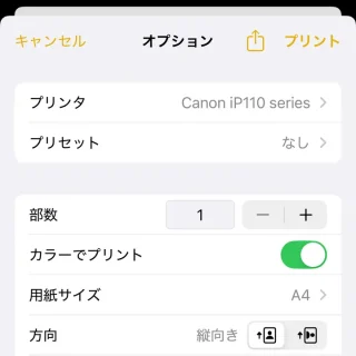 iPhone→共有→プリント→オプション