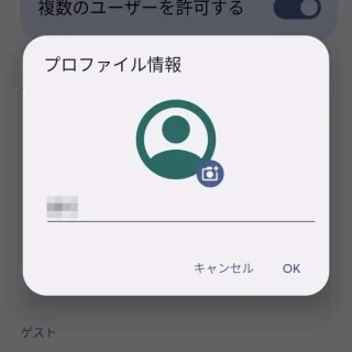 Pixel→設定→システム→複数ユーザー→プロファイル情報