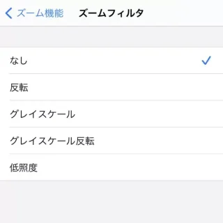 iPhone→設定→アクセシビリティ→ズーム→ズームフィルタ