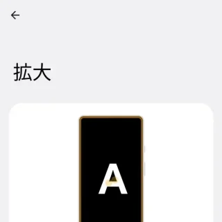 Android→設定→ユーザー補助→拡大