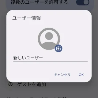 Pixel→設定→システム→複数ユーザー→ユーザー情報