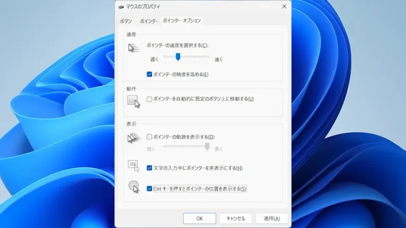 Windows 11→コントロールパネル→マウスのプロパティ→ポインターオプション