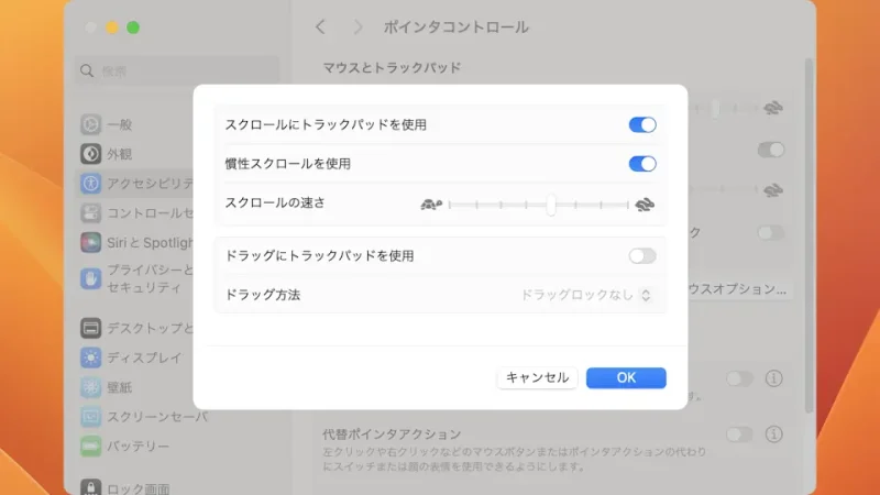 Mac→システム設定→アクセシビリティ→ポインタコントロール→トラックパッドオプション