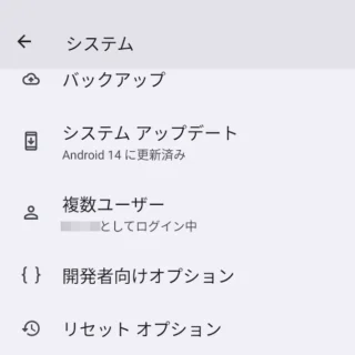 Androidスマートフォン→設定→システム（開発者向けオプション）