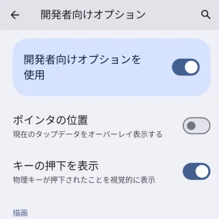 Pixel→設定→システム→開発者向けオプション→入力