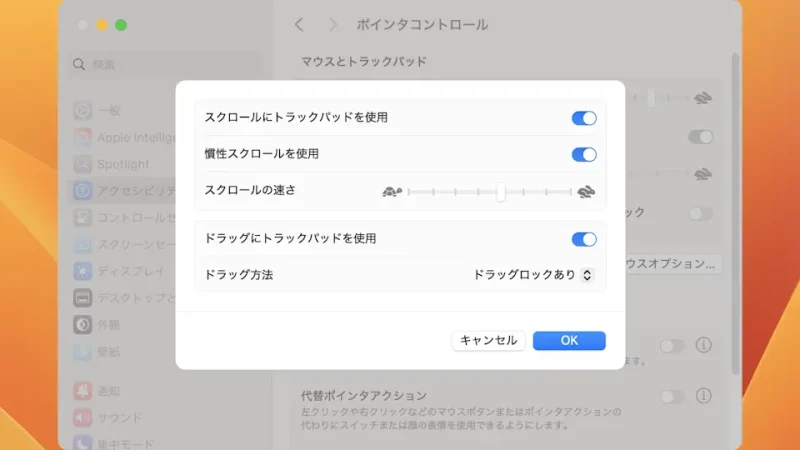 Mac→システム設定→アクセシビリティ→ポインタコントロール→トラックパッドオプション