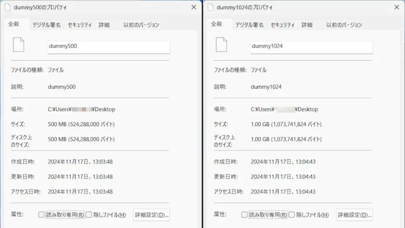 Windows 11→ダミーファイルのプロパティ