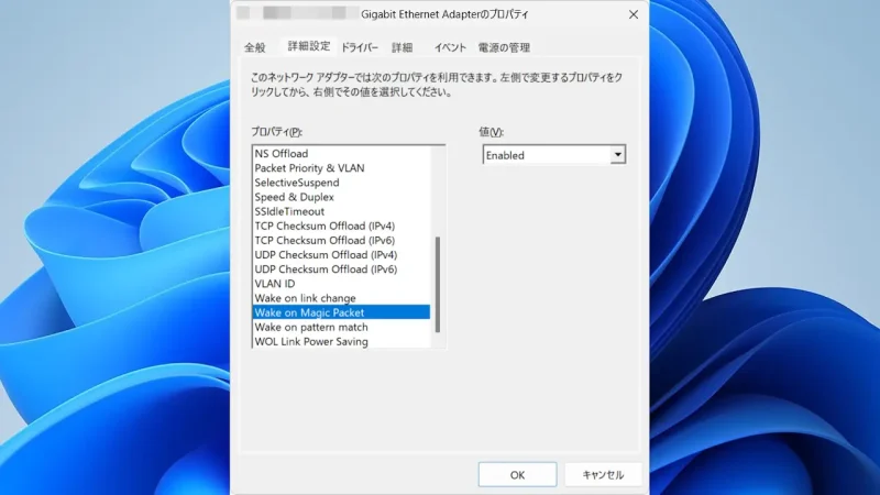 Windows 11→デバイスマネージャー→ネットワークアダプター→有線LANアダプター→プロパティ→詳細設定