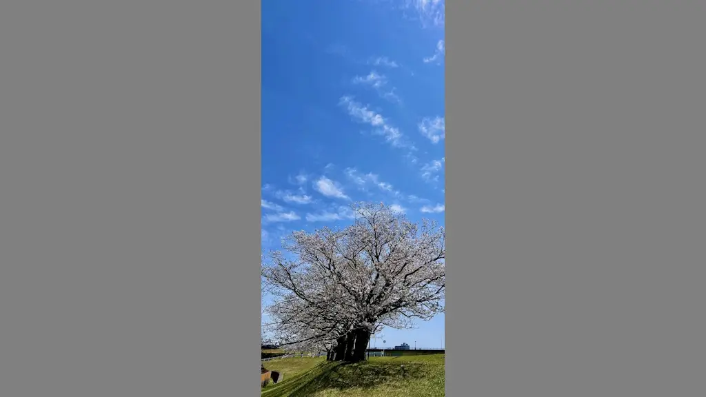 iPhoneで好みの写真を壁紙のサイズにする方法