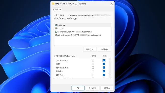 Windows 11→ファイル→プロパティ→セキュリティ→アクセス許可→Everyone→拒否