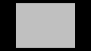動画→レターボックス→上下左右