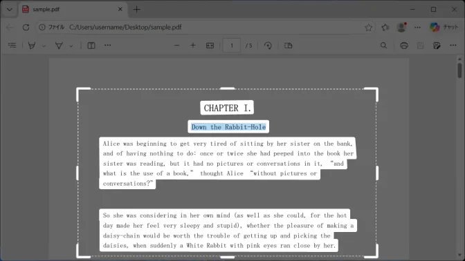 Windows 11→Snipping Tool→Text Extractor→選択済み