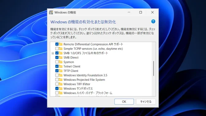 Windows 11→コントロールパネル→プログラムと機能→Windowsの機能の有効化または無効化