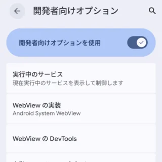 Androidスマートフォン→設定→システム→開発者向けオプション
