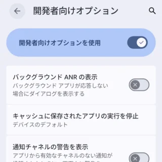 Androidスマートフォン→設定→システム→開発者向けオプション→アプリ