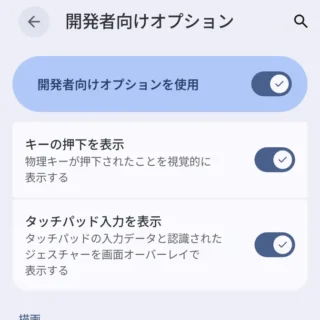 Androidスマートフォン→設定→システム→開発者向けオプション