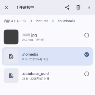 Androidアプリ→Files by Google→Picture→Thumbnails→nomedia