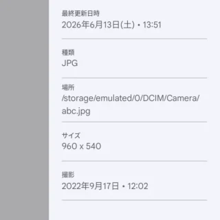 Androidアプリ→Files by Google→JPGファイル→ファイル情報