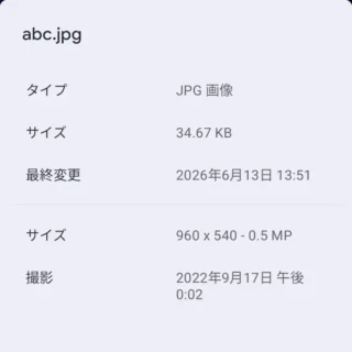 Androidスマートフォン→設定→ストレージ→内蔵ファイルマネージャー→JPGファイル→選択済み→詳細情報