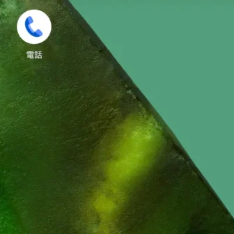 Androidアプリ→アイコン→Googleの電話