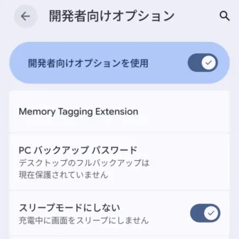 Androidスマートフォン→設定→システム→開発者向けオプション→その2