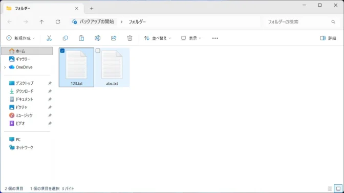 Windows 11→エクスプローラー→チェックボックス→選択済み